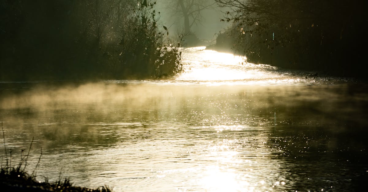 découvrez notre chauffe-eau thermodynamique, une solution écologique et économique pour vos besoins en eau chaude. alliant performance et innovation, il utilise les ressources de l'air pour vous offrir un confort optimal tout en réduisant votre consommation d'énergie.