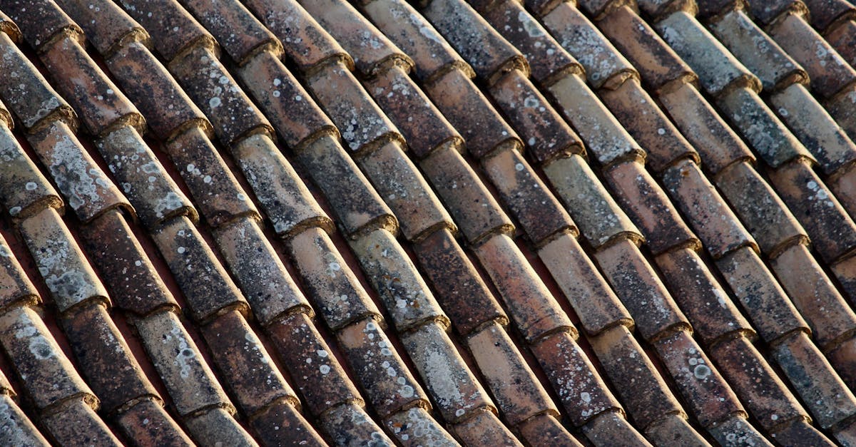 découvrez notre sélection de tuiles imitation toiture, alliant esthétique et durabilité. idéales pour rehausser le charme de votre maison tout en offrant une protection optimale contre les intempéries.