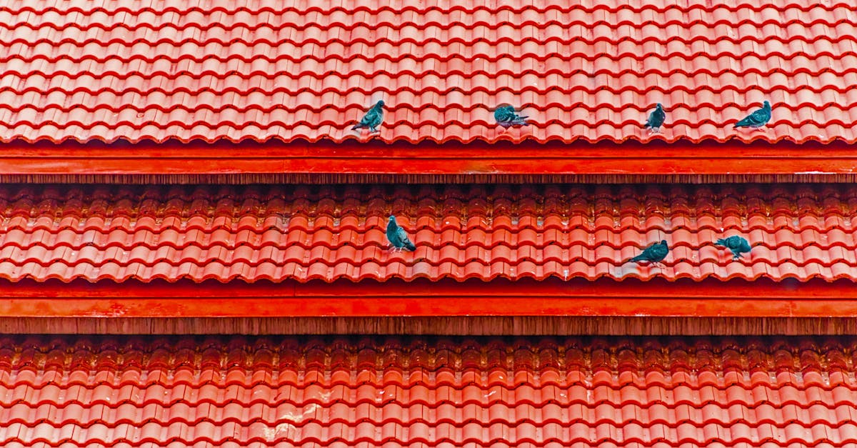 découvrez nos tuiles imitation toiture qui allient esthétisme et performance. offrant une alternative durable et élégante aux tuiles traditionnelles, elles sont conçues pour résister aux intempéries tout en embellissant votre maison. idéales pour les projets de rénovation ou de construction, nos produits garantissent une isolation optimale et un entretien minimal.