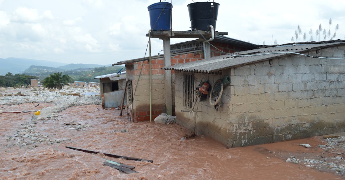 découvrez les causes, les symptômes et les solutions aux dommages causés par l'eau. protégez votre maison des infiltrations et des dégâts en suivant nos conseils d'experts pour une réparation efficace et durable.