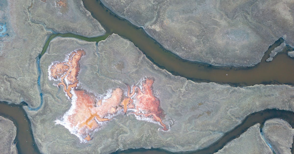 découvrez nos solutions efficaces pour la réparation des dommages causés par l'eau. protégez votre maison et restaurez votre espace de vie grâce à nos services professionnels et rapides.