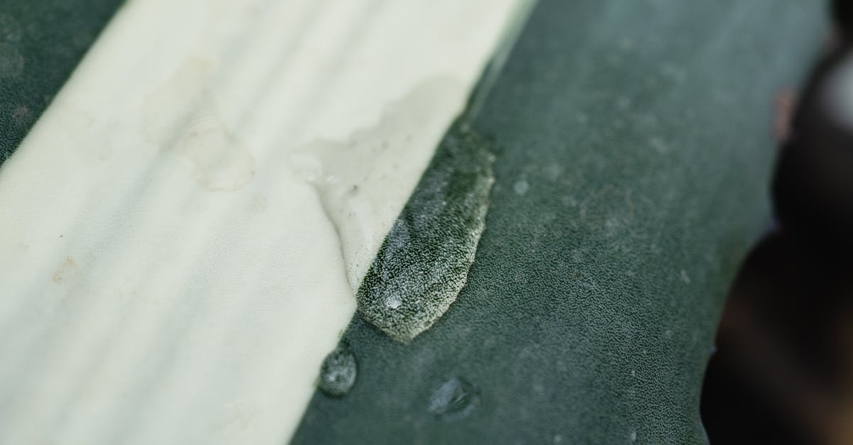 découvrez comment vérifier la résistance de votre chauffe-eau pour garantir son bon fonctionnement. suivez notre guide étape par étape et maintenez une efficacité optimale de votre appareil.