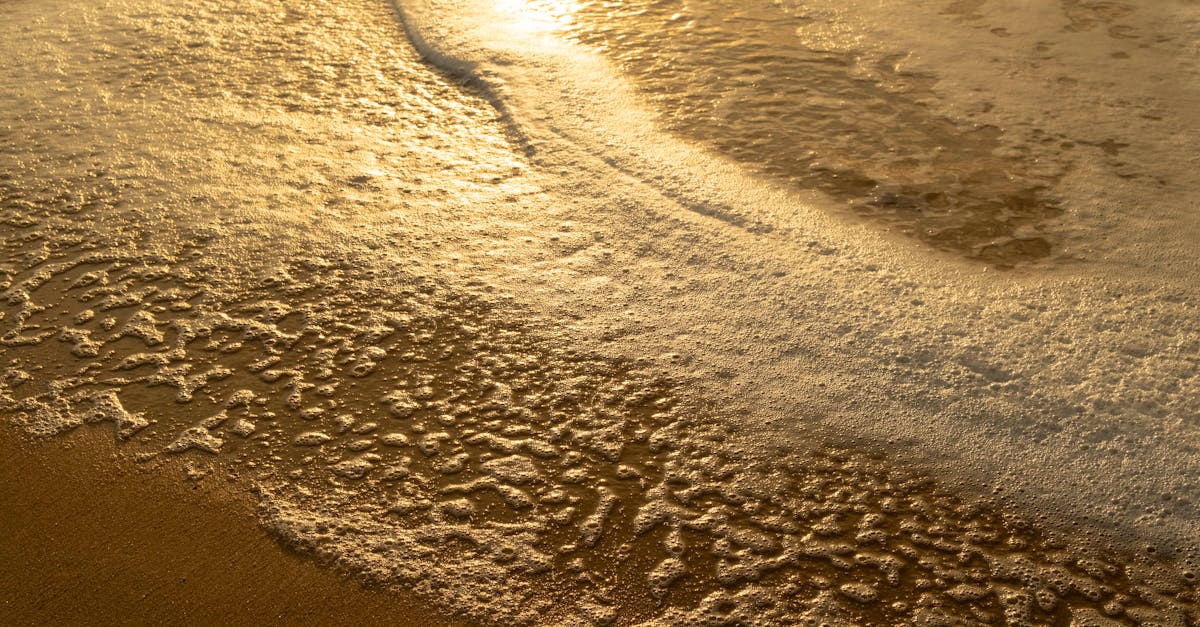 découvrez les solutions pour détecter et réparer les fuites d'eau. protégez votre maison des dommages causés par l'humidité grâce à nos conseils et astuces.