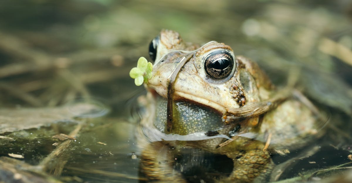 découvrez nos solutions efficaces pour détecter et réparer les fuites d'eau. protégez votre maison des dégâts liés à l'eau avec nos conseils et services spécialisés.