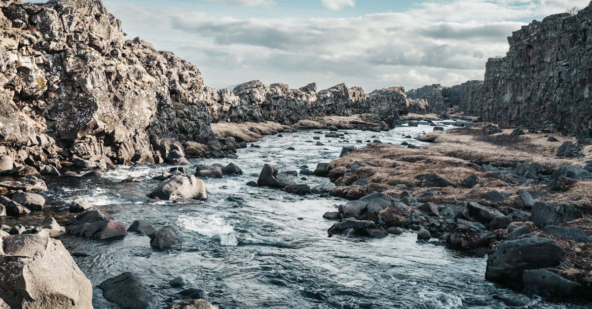 découvrez les causes et solutions aux fuites d'eau. protégez votre maison des dégâts et apprenez à identifier rapidement les signes de fuites pour préserver votre confort et votre sécurité.