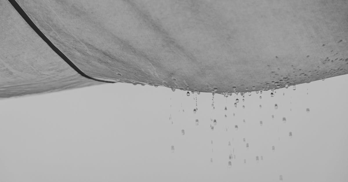 découvrez comment identifier, prévenir et réparer les fuites d'eau dans votre maison. profitez de conseils pratiques pour éviter des dommages coûteux et assurer une gestion efficace de l'eau.