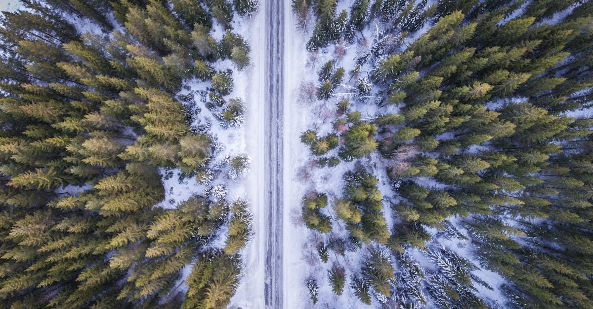découvrez l'élégance du bardage en bois : une solution esthétique et durable pour vos projets de construction et de rénovation. offrez à vos espaces extérieurs et intérieurs une ambiance chaleureuse tout en bénéficiant d'une protection optimale contre les intempéries.