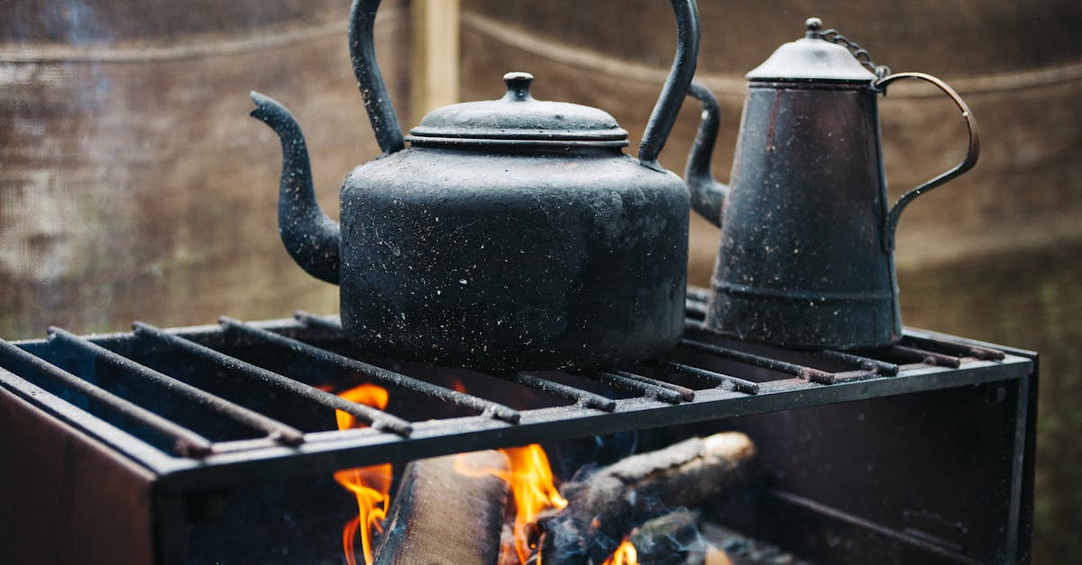 découvrez notre guide complet sur l'installation de poêles à bois. apprenez les étapes essentielles, les conseils pratiques et les normes de sécurité pour installer votre poêle à bois en toute confiance et profiter d'une chaleur naturelle et conviviale dans votre maison.