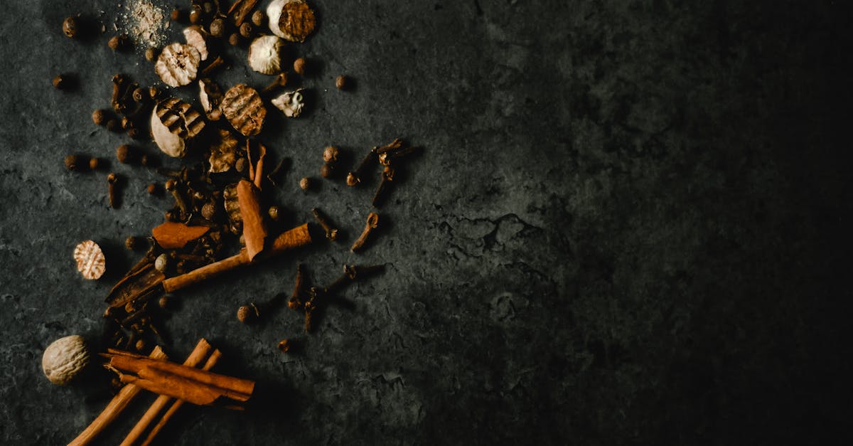 découvrez l'univers des dark kitchens, des cuisines professionnelles dédiées à la livraison qui révolutionnent notre façon de commander à manger. savourez des plats préparés par des chefs talentueux, sans le besoin d'un restaurant physique. explorez cette nouvelle tendance culinaire pratique et innovante, adaptée à tous les gourmands en quête de nouvelles expériences gastronomiques.
