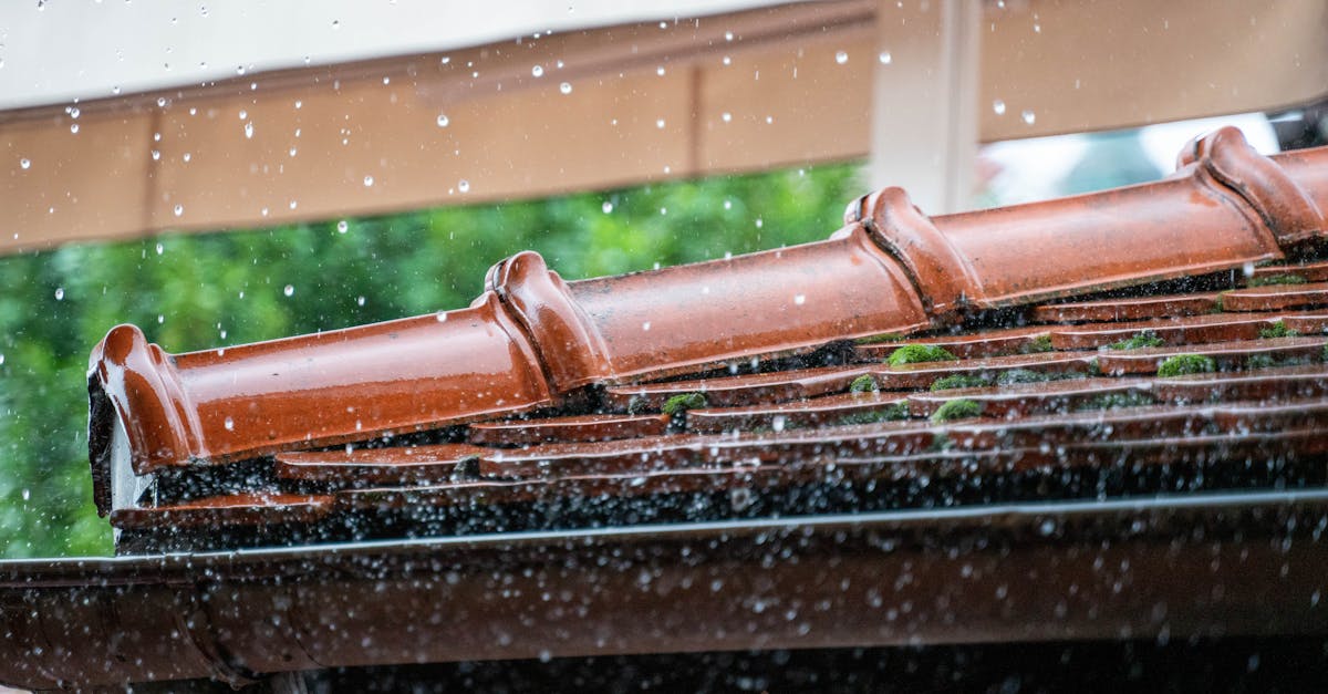 découvrez les techniques de drainage efficaces pour améliorer la gestion des eaux sur votre terrain. apprenez comment prévenir les inondations et optimiser votre espace extérieur avec des méthodes adaptées.