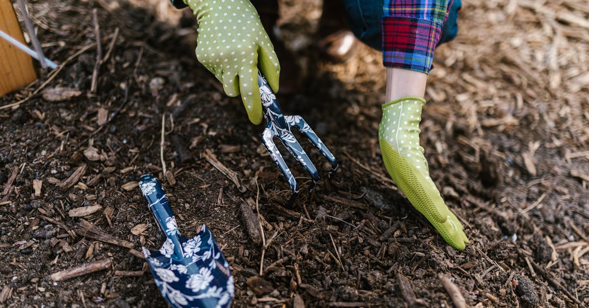 découvrez les tarifs des paysagistes pour vos projets d'aménagement extérieur. comparez les prix, les services offerts et trouvez le professionnel idéal pour transformer votre jardin en un espace de rêve.
