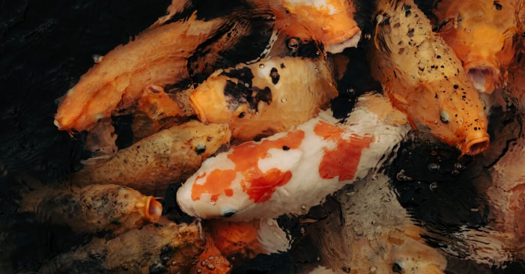 Tout savoir sur le liner de piscine : coûts, techniques de remplacement et astuces pour une installation réussie découvrez nos liners de piscine de haute qualité, conçus pour prolonger la durée de vie de votre piscine tout en ajoutant une touche esthétique. résistants aux intempéries et faciles à installer, nos liners s'adaptent à tous les types de piscines pour un rendu impeccable et durable.