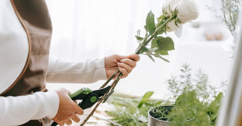 Les techniques essentielles pour tailler efficacement pommiers et poiriers découvrez l'art de la taille des plantes, apprenez les techniques essentielles pour optimiser la croissance de vos jardins et vergers. conseils pratiques pour une taille efficace et respectueuse de la nature.