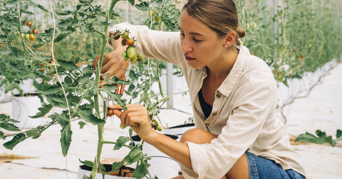découvrez notre guide complet sur la taille des plantes, une méthode essentielle pour favoriser leur croissance, améliorer leur santé et embellir votre jardin. apprenez les techniques de taille adaptées à chaque type de végétal et les astuces pour obtenir des résultats époustouflants.