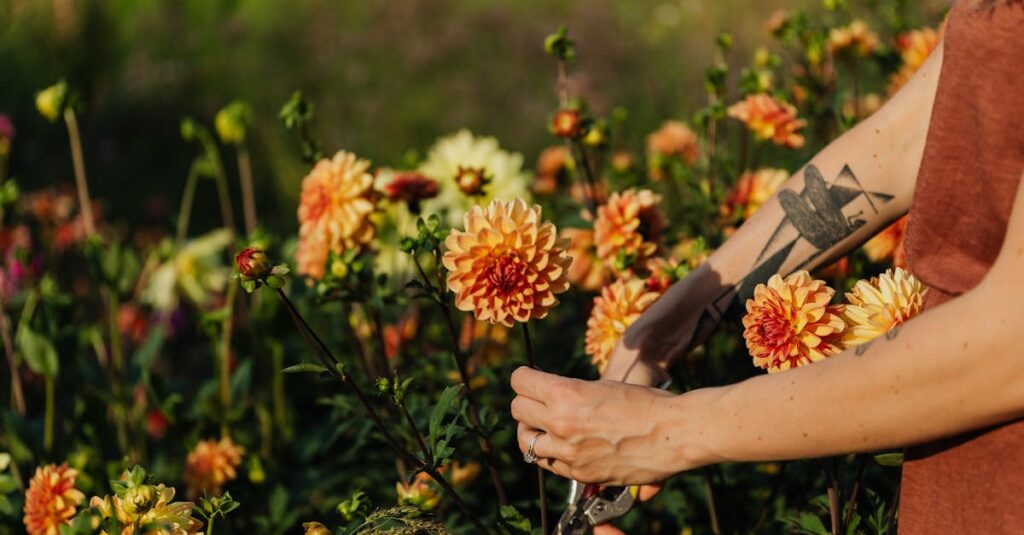Les meilleures techniques pour tailler vos saules pleureurs et crevettes découvrez les différentes techniques de taille pour entretenir et améliorer la santé de vos plantes. apprenez à maîtriser l'art de la taille pour stimuler la croissance et la floraison de vos arbustes et arbres.