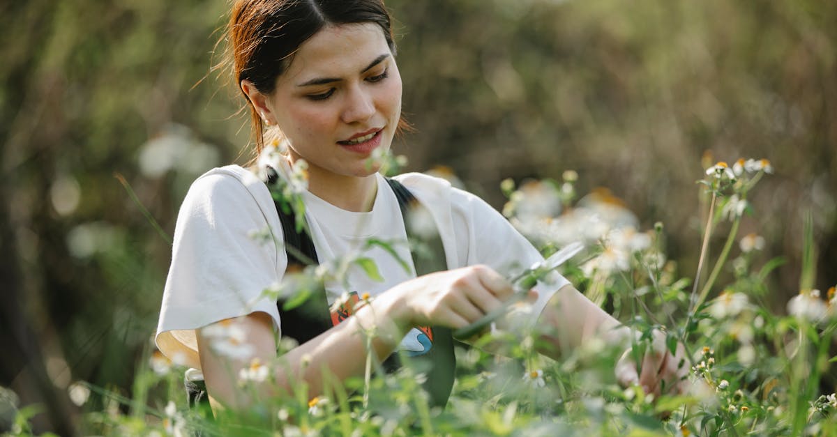 découvrez les meilleures techniques de taille pour entretenir vos plantes et arbres. apprenez comment optimiser la croissance, améliorer la santé végétale et favoriser la floraison grâce à des méthodes de taille adaptées.