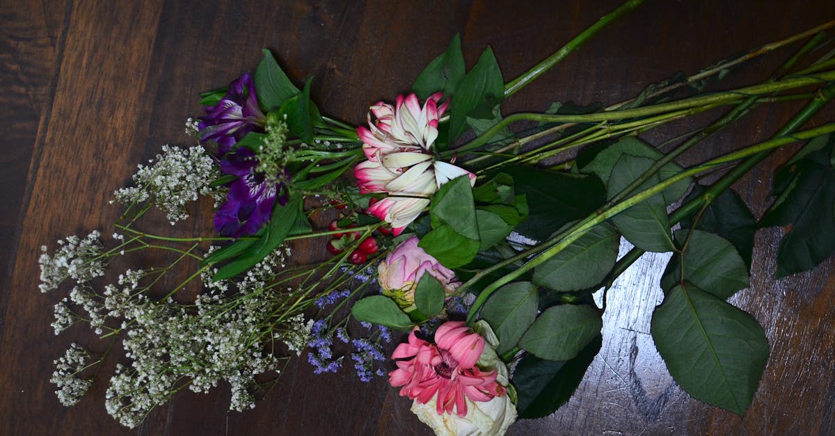découvrez la beauté envoûtante de la rose violette, symbole de mystère et de romance. plongez dans un monde où la délicatesse des pétales vous transporte dans un univers de passion et d'élégance.