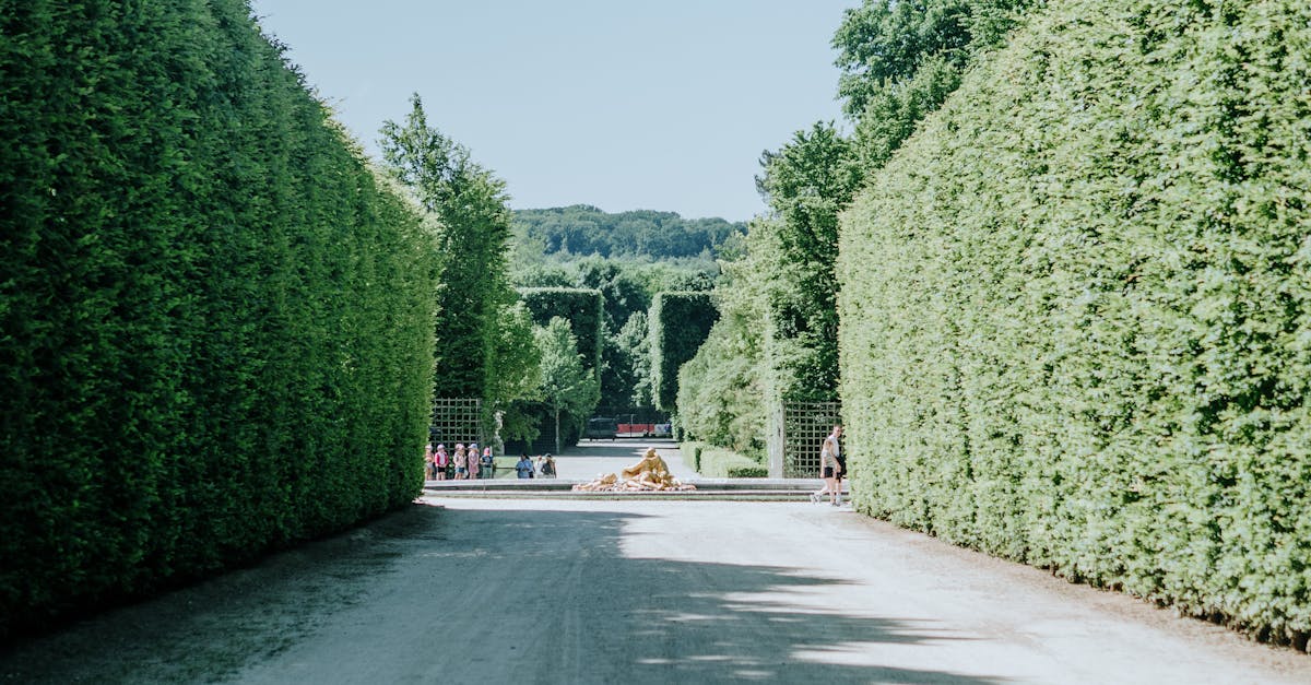 découvrez l'histoire fascinante de versailles, ville emblématique de france, célèbre pour son palais majestueux, ses jardins magnifiques et son rôle central dans l'histoire royale et politique française. plongez dans l'élégance et la grandeur d'une époque révolue.