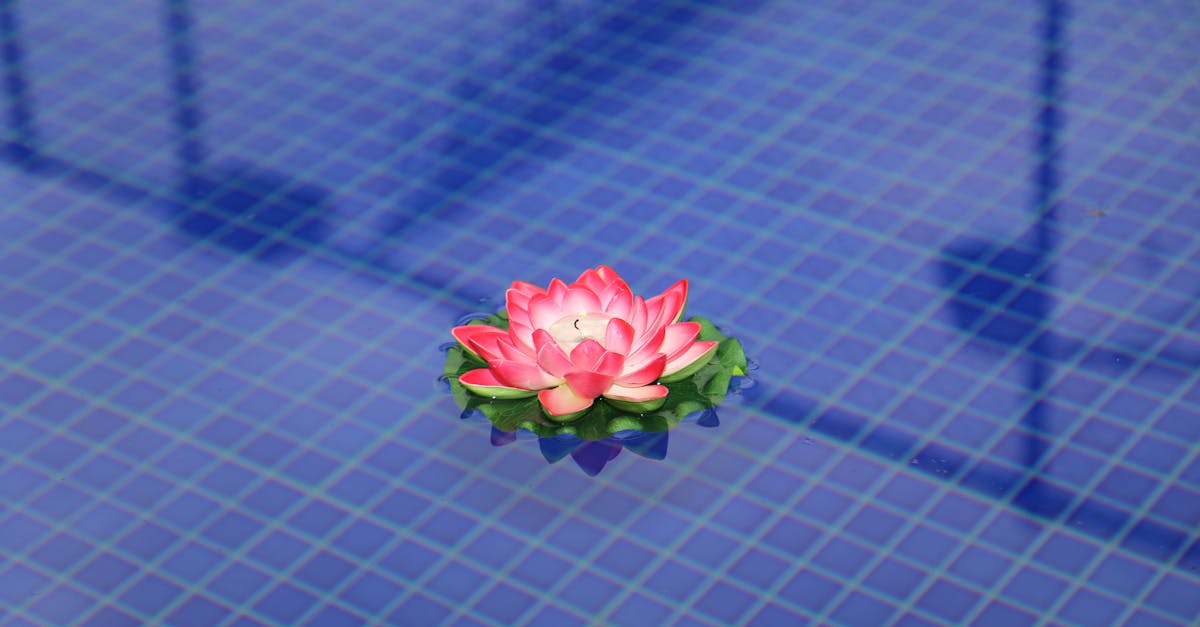 découvrez les piscines en composite, alliant esthétisme et durabilité. idéales pour embellir votre espace extérieur, elles offrent une résistance accrue aux intempéries et un entretien minimal. plongez dans un univers de confort et de style avec nos piscines en composite.