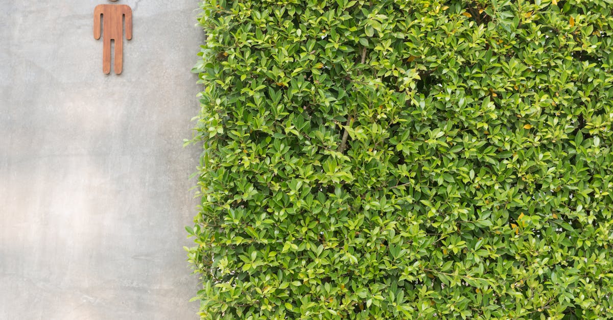 découvrez les toilettes écologiques, une solution innovante pour réduire votre impact environnemental tout en offrant confort et efficacité. optez pour un choix durable et respectueux de la planète.