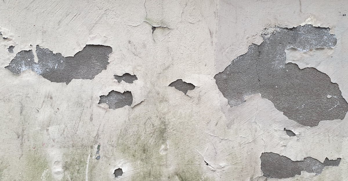 découvrez le béton agrégé apparent, une solution esthétique et durable pour vos projets d'aménagement extérieur. élevez vos espaces avec ce matériau innovant qui allie robustesse et design moderne.