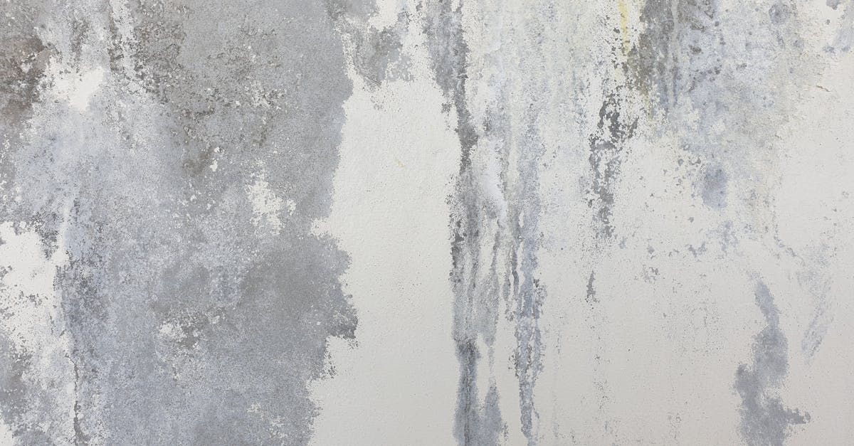 découvrez le béton exposé, une solution élégante et durable pour vos surfaces extérieures et intérieures. avec ses textures uniques et ses finitions variées, ce matériau est idéal pour des allées, patios et autres aménagements paysagers.