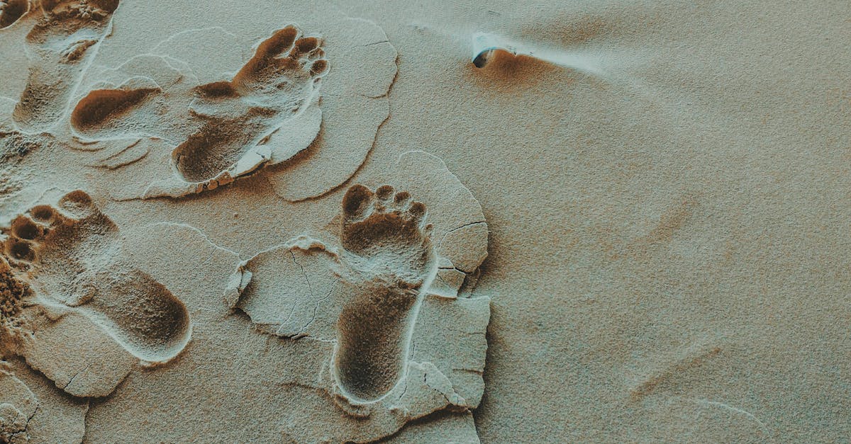 découvrez l'impact environnemental de nos actions avec 'footprint', une exploration approfondie des empreintes écologiques et des solutions pour un avenir durable.