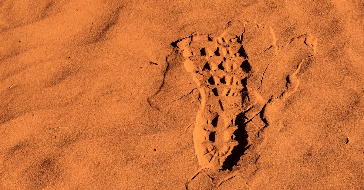 découvrez le concept de 'footprint', qui désigne l'impact environnemental de nos activités sur la planète. apprenez à mesurer et réduire votre empreinte écologique pour un avenir plus durable.
