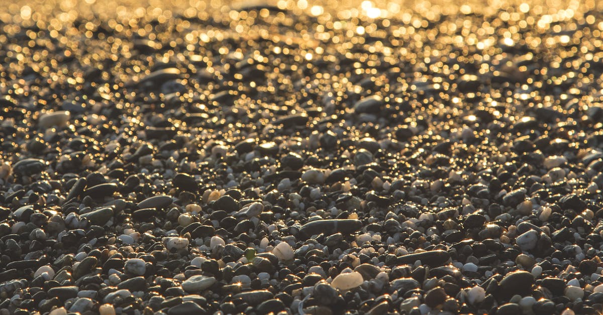 découvrez l'univers du gravel et de la randonnée à vélo sur routes non pavées. explorez des itinéraires uniques, des conseils d'équipement et des astuces pour profiter pleinement de vos aventures en pleine nature.