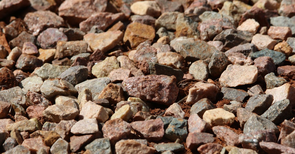 découvrez le monde du gravel, un sport cycliste qui allie aventure et performance sur des terrains variés. que vous soyez débutant ou expert, explorez des conseils, des itinéraires et des équipements pour maximiser votre expérience sur ces chemins hors des sentiers battus.