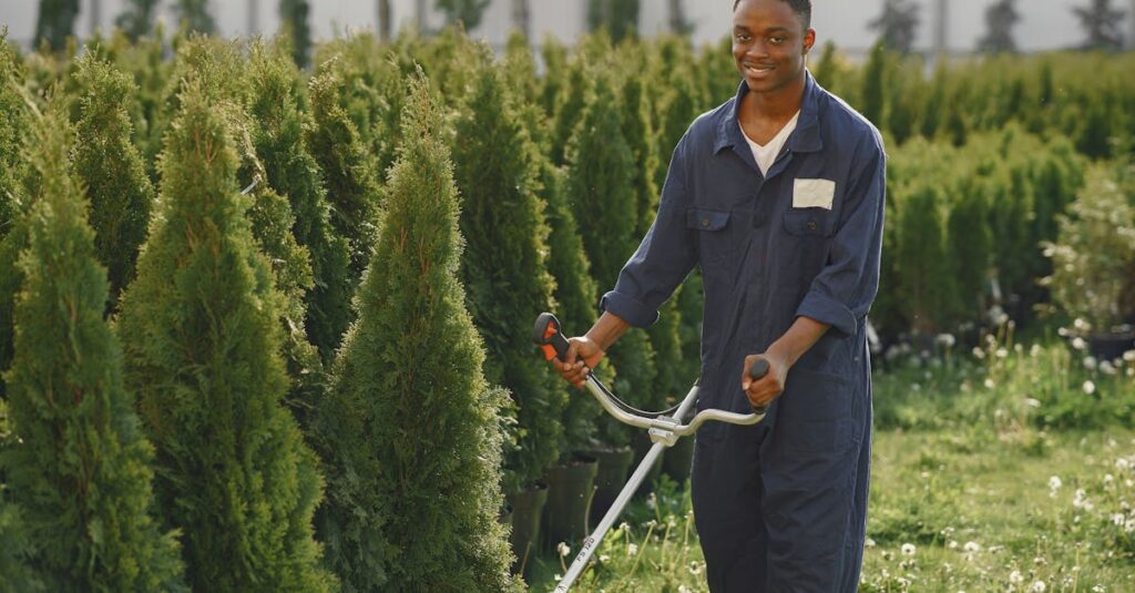 Découverte du fonctionnement d’un taille-haies découvrez notre sélection de taille-haies performants pour entretenir vos espaces verts avec précision. idéaux pour les jardins de toutes tailles, nos outils garantissent une coupe nette et rapide. transformez votre paysage en un rien de temps !