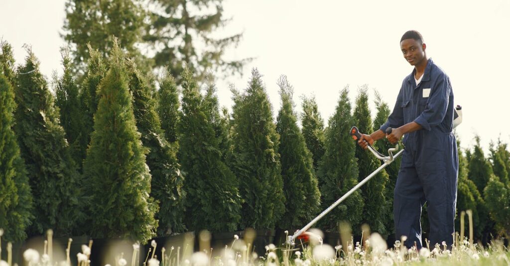 découvrez les meilleures solutions de rangement pour vos taille-haies. optimisez l’espace de votre jardin tout en protégeant vos outils avec des options de stockage pratiques et durables.