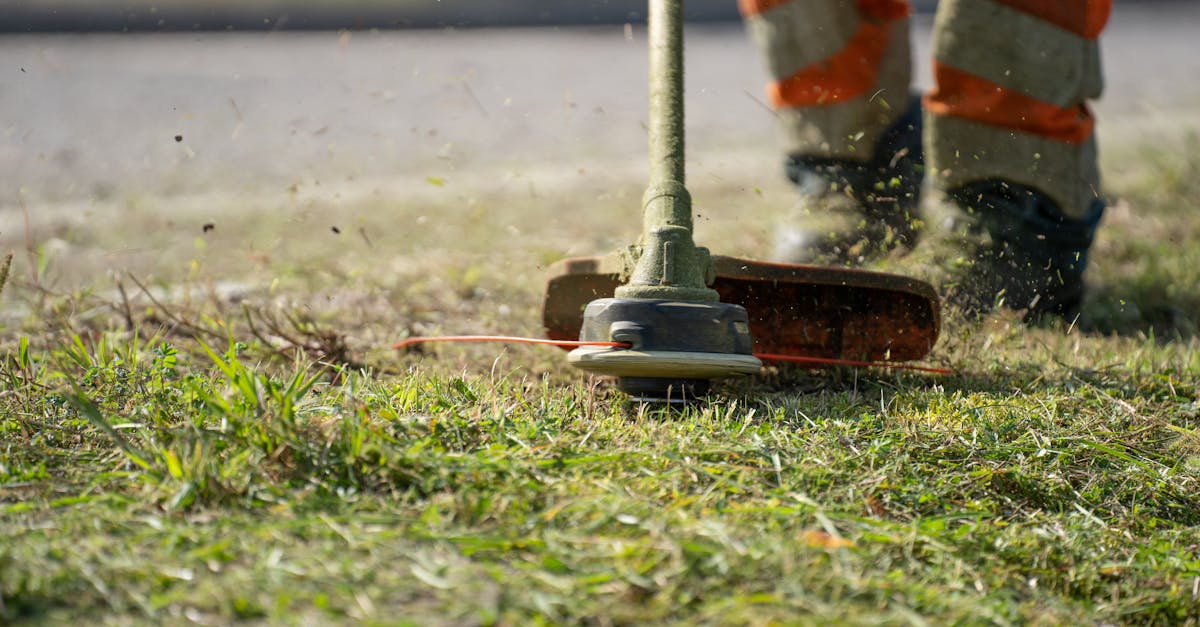 découvrez notre sélection de tondeuses à gazon pour un entretien facile et efficace de votre jardin. trouvez le modèle idéal parmi des tondeuses manuelles, électriques et à moteur, parfaitement adaptées à vos besoins.
