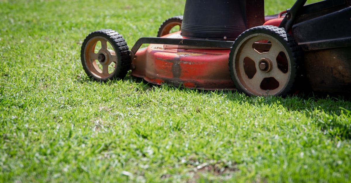 découvrez notre sélection de tondeuses à gazon, idéales pour l'entretien de votre jardin. trouvez le modèle qui convient à vos besoins, que ce soit une tondeuse manuelle, électrique ou à essence, et profitez d'une pelouse impeccablement tondue toute l'année.