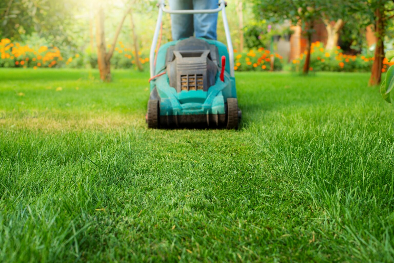 comprenez tout sur le coût de l’entretien de votre gazon et pelouse Man pushing lawn mower. Lawn care background, place for text