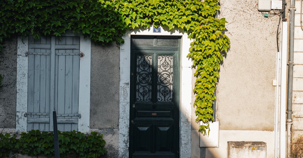 découvrez nos rideaux roulants de haute qualité, alliant sécurité, confort et esthétique pour votre maison. profitez de l'isolation thermique et sonore tout en ajoutant une touche moderne à votre extérieur.