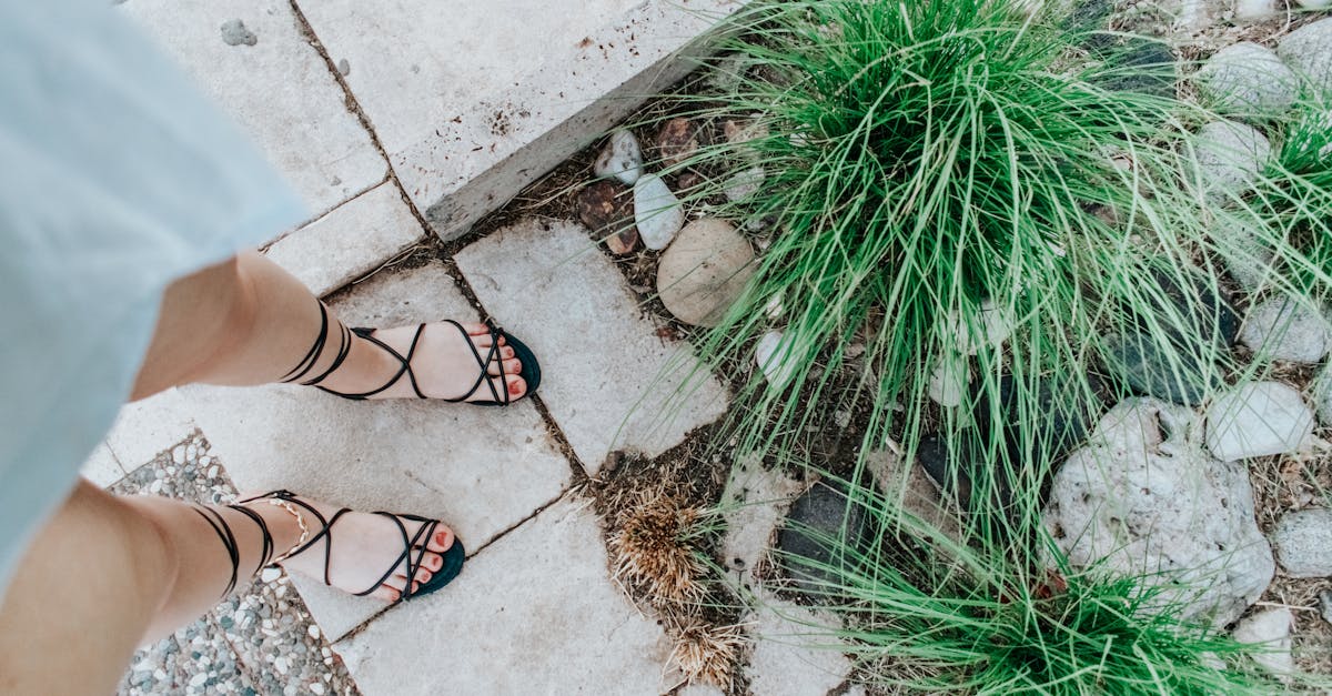 découvrez les piscines hors-sol en béton : robustes, durables et faciles à installer dans votre jardin. profitez d'une alternative moderne pour créer un espace de baignade élégant et personnalisé chez vous.