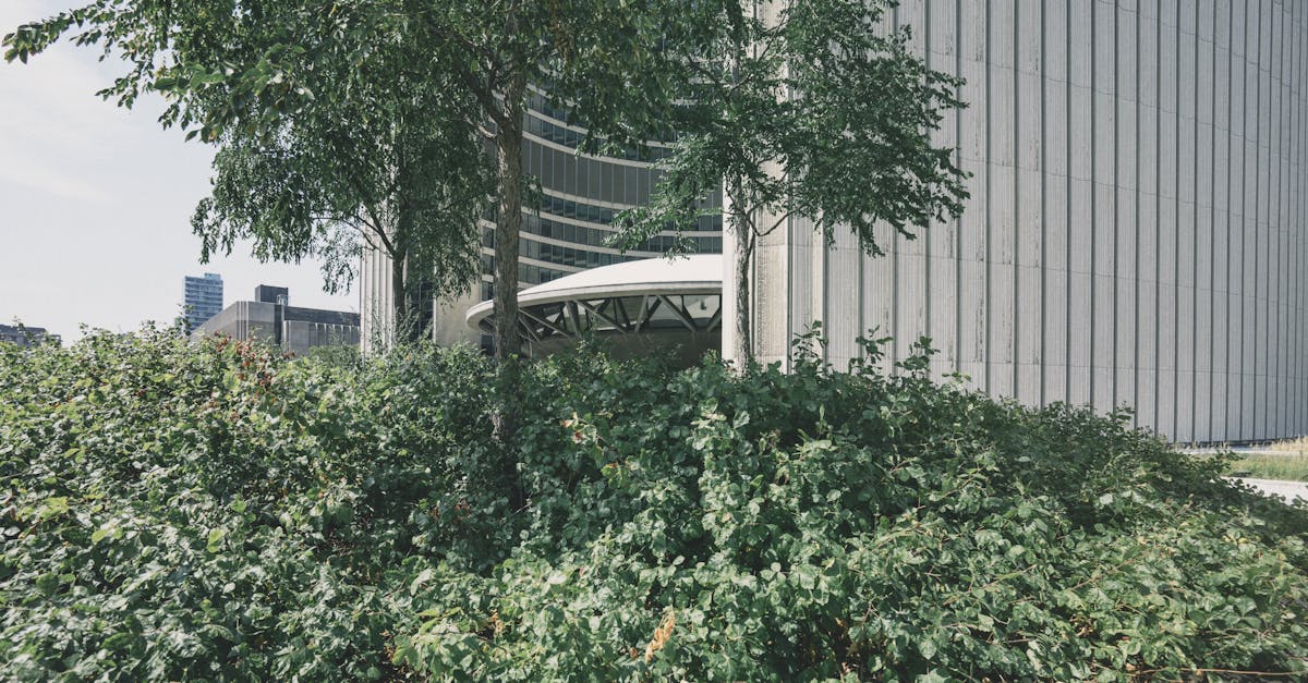 découvrez le béton bouchardé : une finition texturée et antidérapante idéale pour vos sols, terrasses et aménagements extérieurs. donnez du caractère à vos espaces avec ce béton robuste et esthétique.
