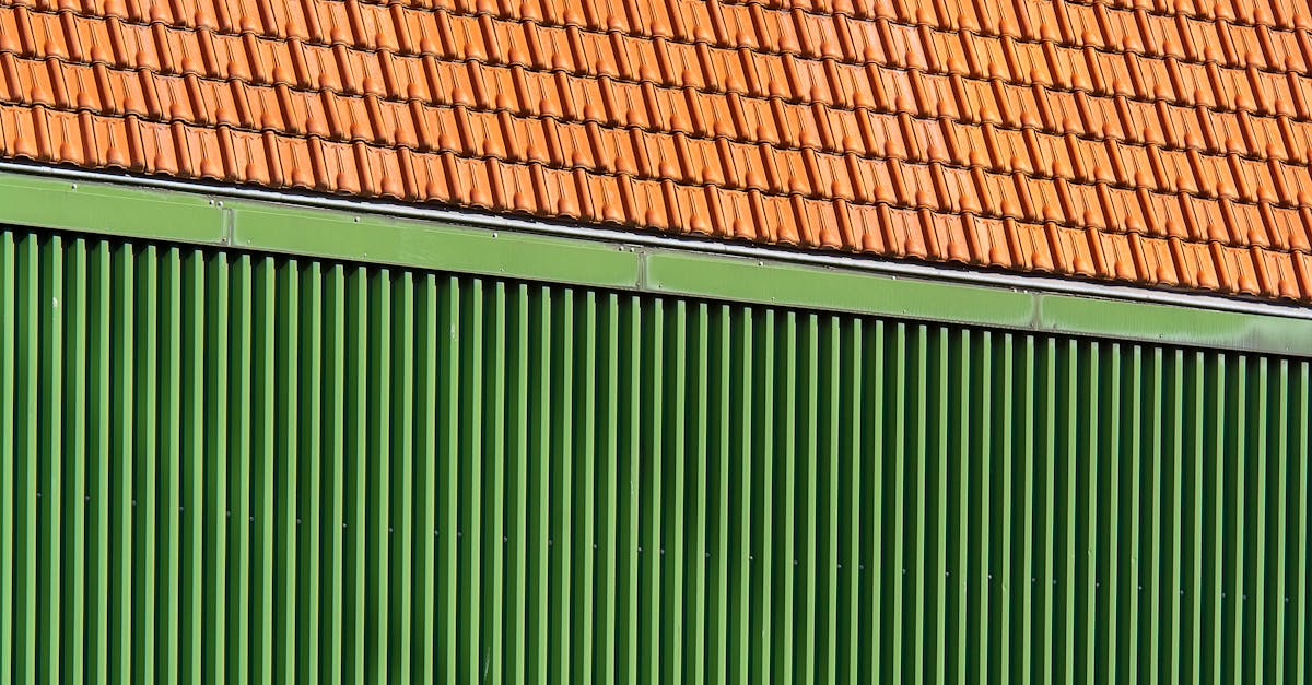 découvrez le green roofing : une solution écologique qui transforme votre toit en espace vert, améliore l’isolation et contribue à la biodiversité urbaine. adoptez un habitat durable et respectueux de l'environnement.