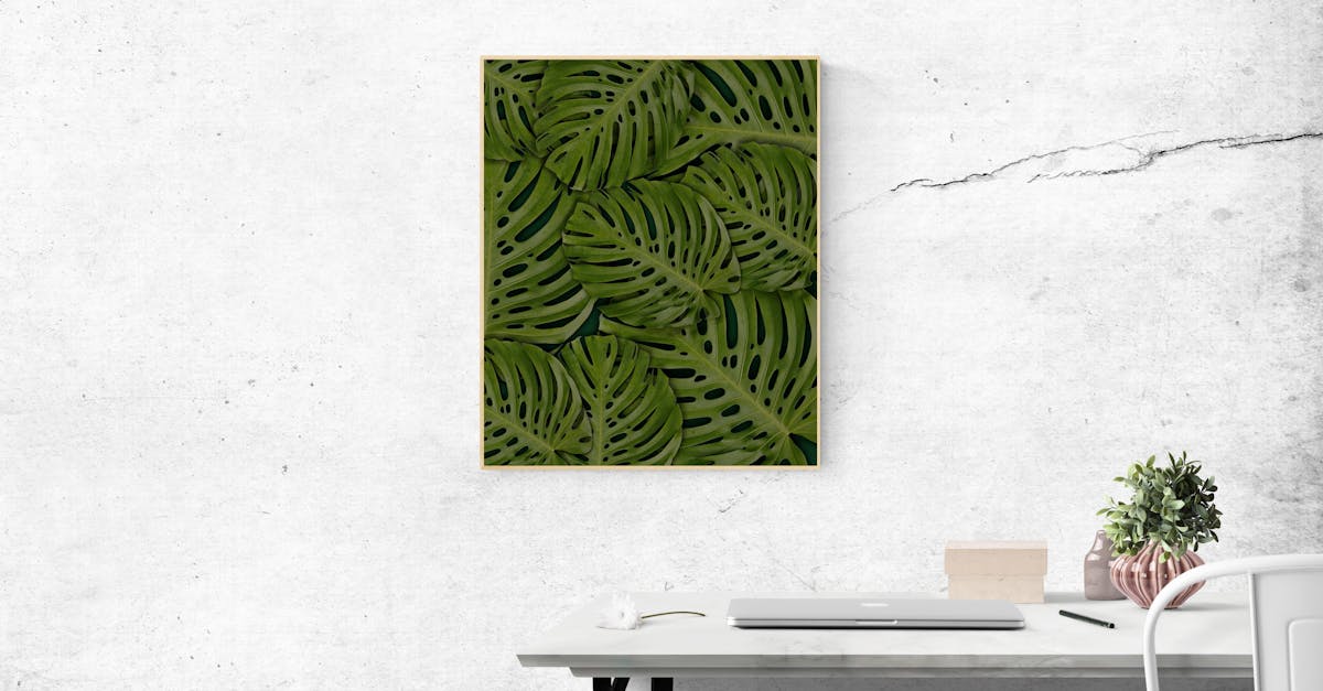 découvrez le green wall, une solution végétale innovante pour décorer et purifier vos espaces intérieurs ou extérieurs. esthétique, écologique et facile d'entretien, le mur végétal apporte une touche de fraîcheur à votre environnement.