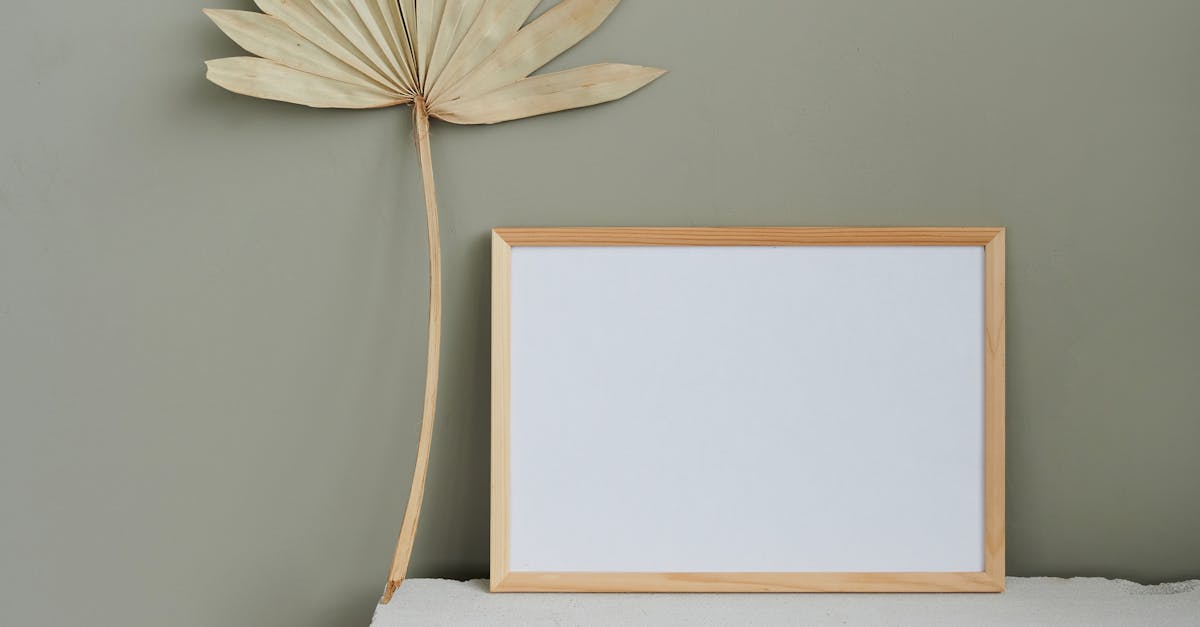 découvrez le green wall, une solution écologique et design pour décorer vos espaces intérieurs et extérieurs avec des plantes murales naturelles. transformez facilement votre environnement grâce à des murs végétalisés innovants et faciles d’entretien.
