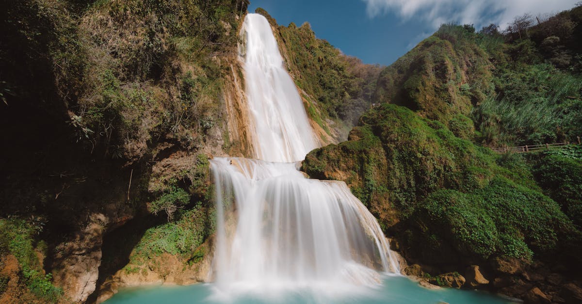découvrez l'élégance et la sérénité des piscines lagon, un espace de baignade inspiré des paysages tropicaux. transformez votre jardin en un véritable oasis de détente avec des formes organiques, des eaux cristallines et une végétation luxuriante. plongez dans un univers de bien-être et de convivialité.