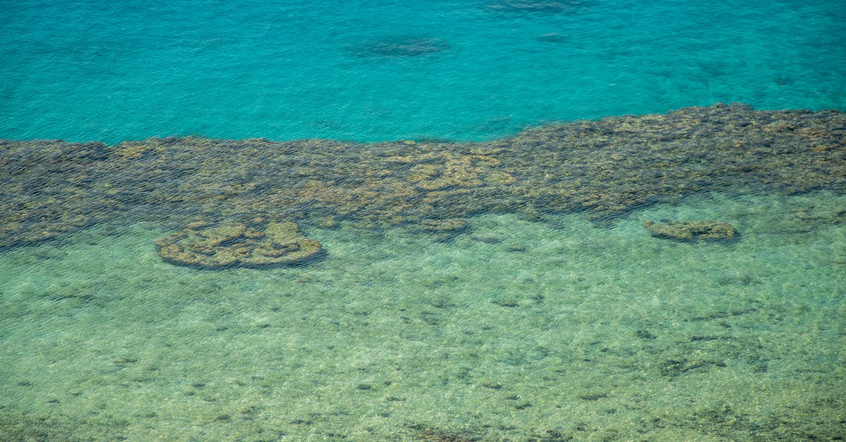 découvrez les lagons naturels de lumière et de sérénité avec lagoon pools. plongez dans un univers aquatique idyllique, conçu pour un évasion relaxante, alliant esthétisme et confort. faites de votre rêve de piscine un véritable paradis grâce à nos créations sur mesure.
