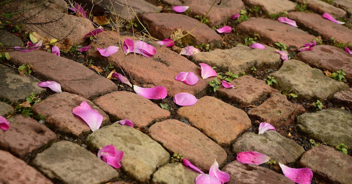 découvrez nos solutions de revêtement de sol extérieur : résistantes, esthétiques et faciles à entretenir. idéal pour terrasses, balcons et jardins. améliorez durablement vos espaces extérieurs !