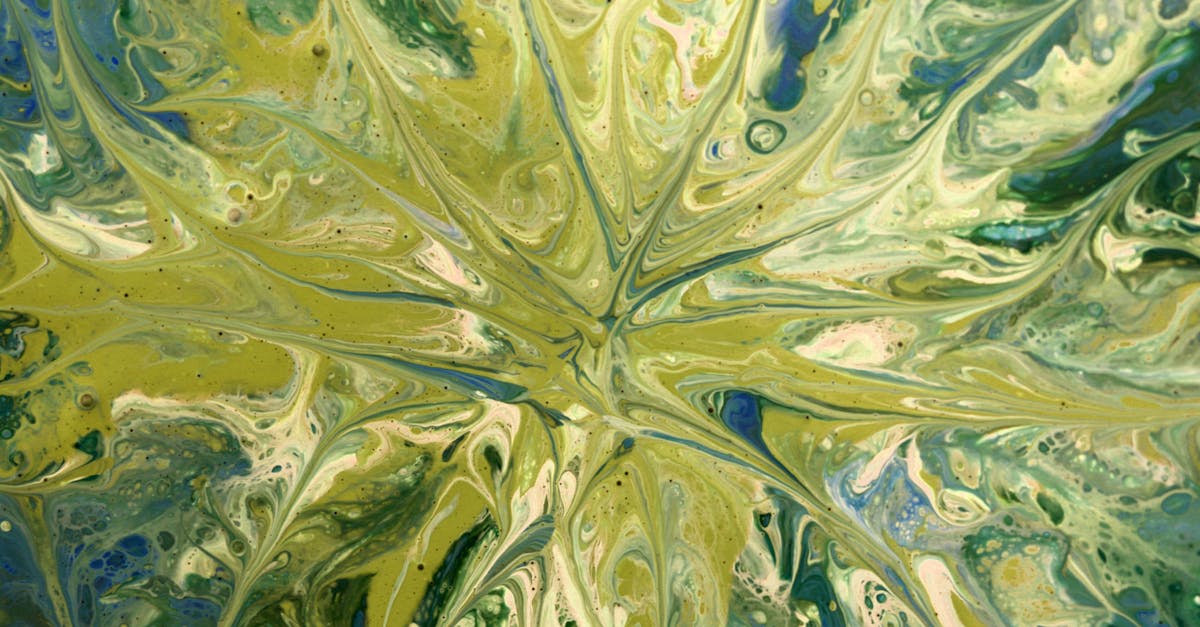 découvrez les meilleures techniques de décapage de peinture pour restaurer efficacement vos surfaces. conseils, astuces et produits adaptés pour enlever la vieille peinture en toute simplicité.