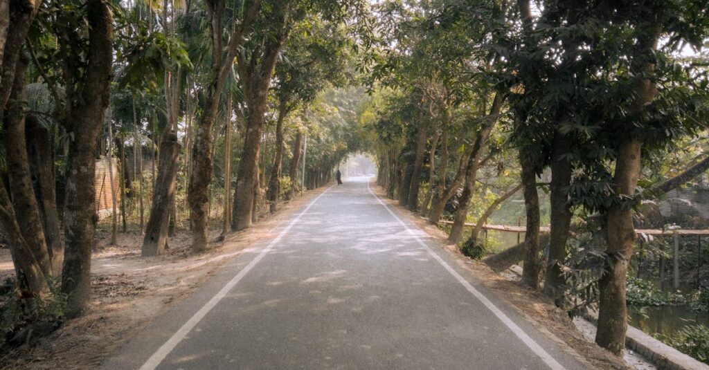 Explorer les systèmes de collecte d’eau de pluie : coûts d’installation, bénéfices et processus d’installation découvrez les avantages des systèmes de collecte des eaux de pluie : fonctionnement, installation, économies d’eau et respect de l’environnement. guide complet pour choisir la solution adaptée à vos besoins.