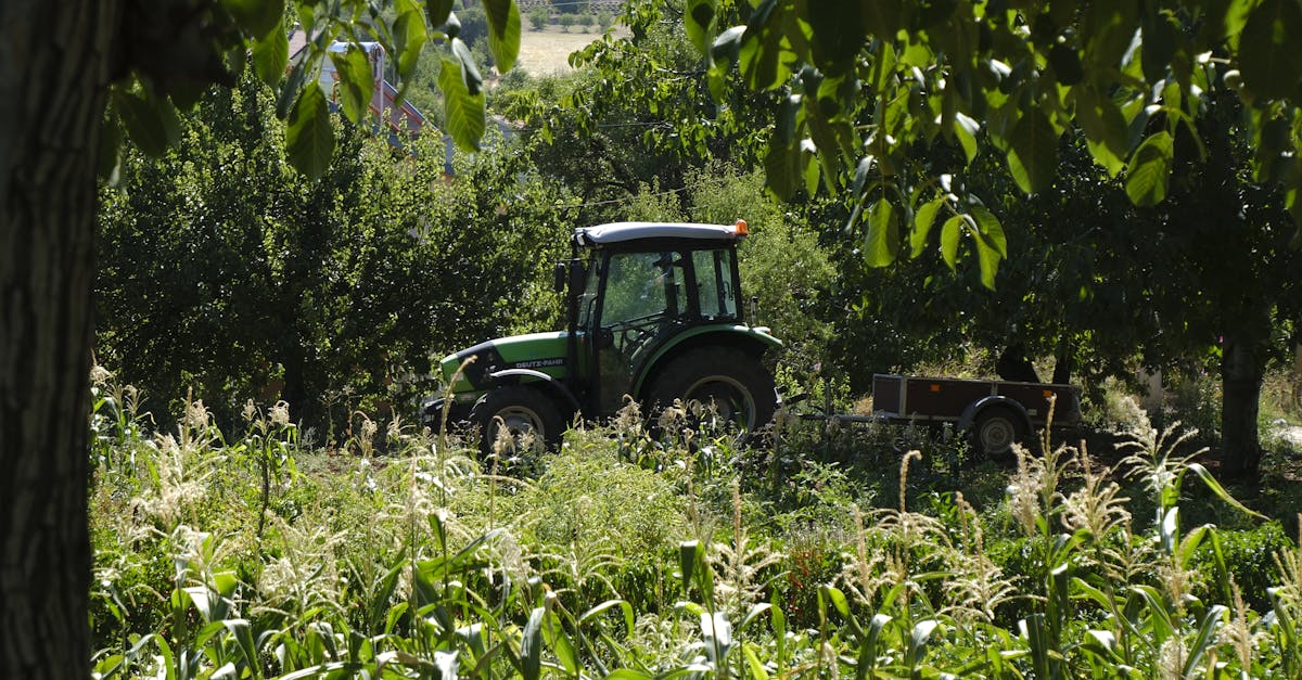 découvrez les systèmes de collecte d’eau de pluie : une solution écologique et économique pour récupérer, filtrer et utiliser l’eau de pluie à la maison, au jardin ou pour l’irrigation.