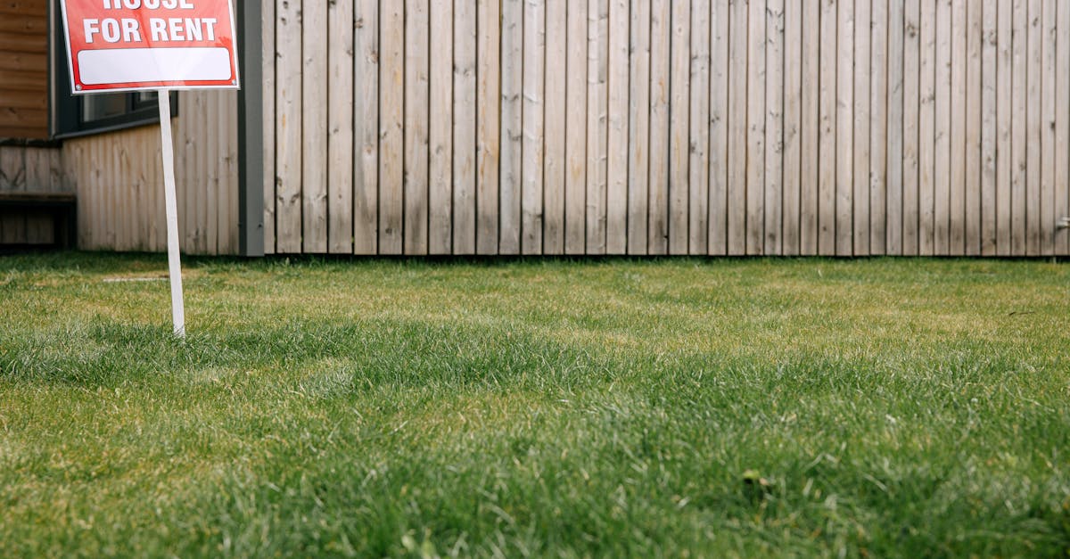 découvrez nos tarifs compétitifs pour la location d’équipements professionnels. obtenez le meilleur rapport qualité/prix pour tous vos besoins en matériel grâce à notre large gamme d’options adaptées à chaque projet.