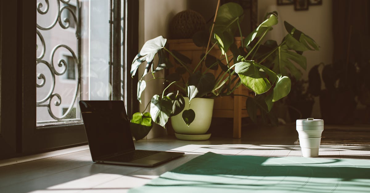 découvrez les avantages du revêtement de sol en résine : une solution durable, esthétique et facile à entretenir pour tous types d’espaces, domestiques ou professionnels.