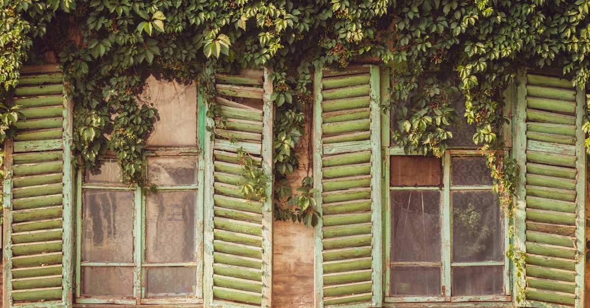 découvrez notre gamme de shutters élégants pour habiller vos fenêtres, améliorer l’isolation et protéger votre intérieur. qualité supérieure, personnalisables et faciles à installer !